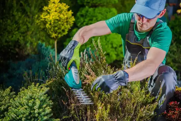 landscaping services New Vienna